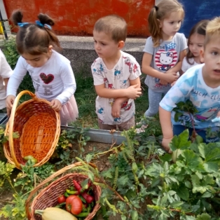 bereket-