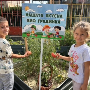 bereket-