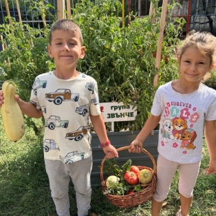 bereket-