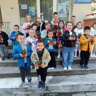 razsad-