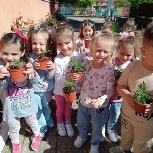 razsad-