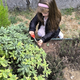 bilkite-