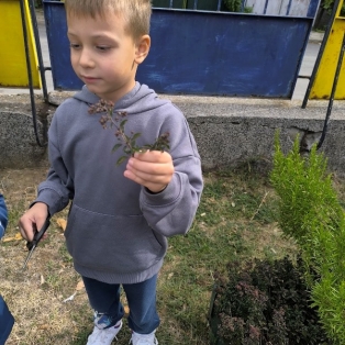 bilkite-