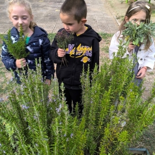 bilkite-
