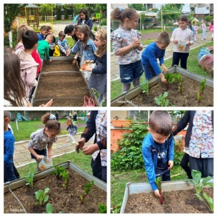 bio-gradina-
