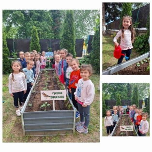 bio-gradina-