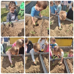 bio-gradina-