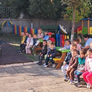 pazete-