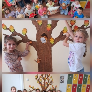 plodove-