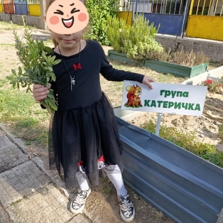podpravka-