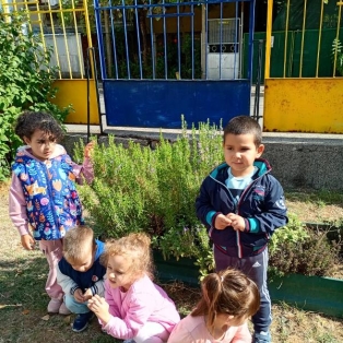 sabirane-