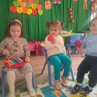 veseli-